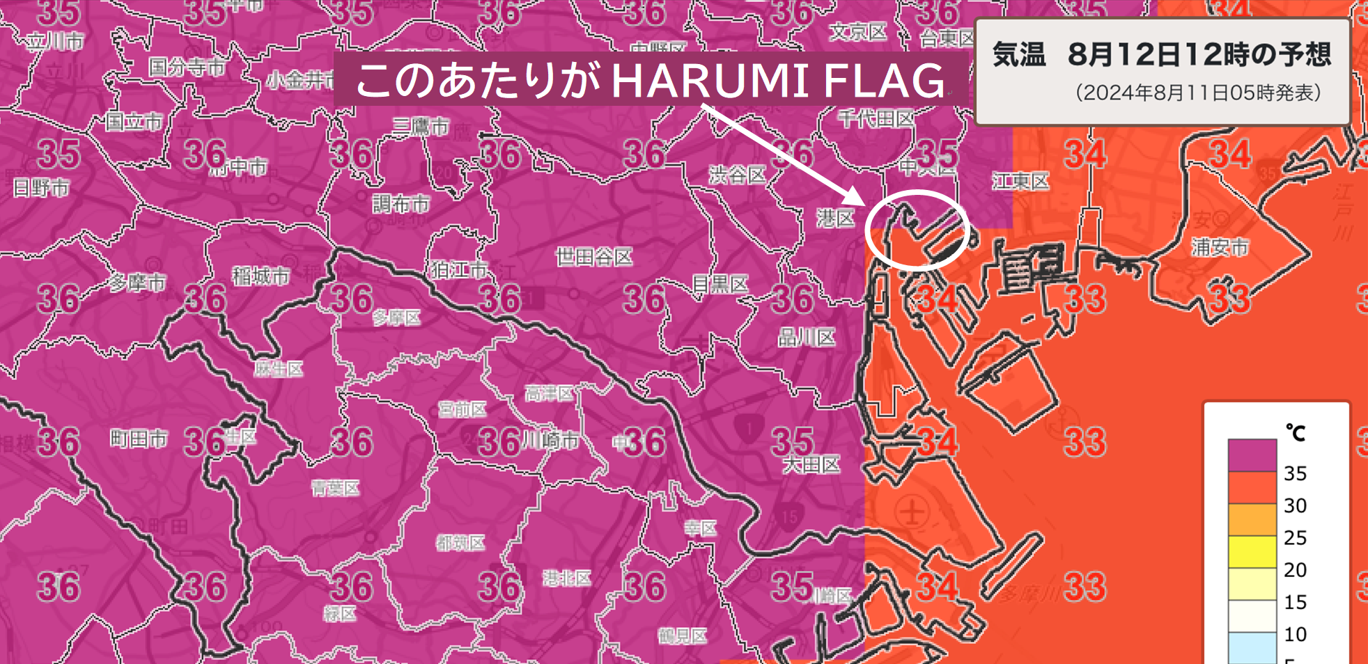 晴海フラッグ 「気象庁　天気分布予報　2024年8月12日12時の予想」より（はるみライフプラス）